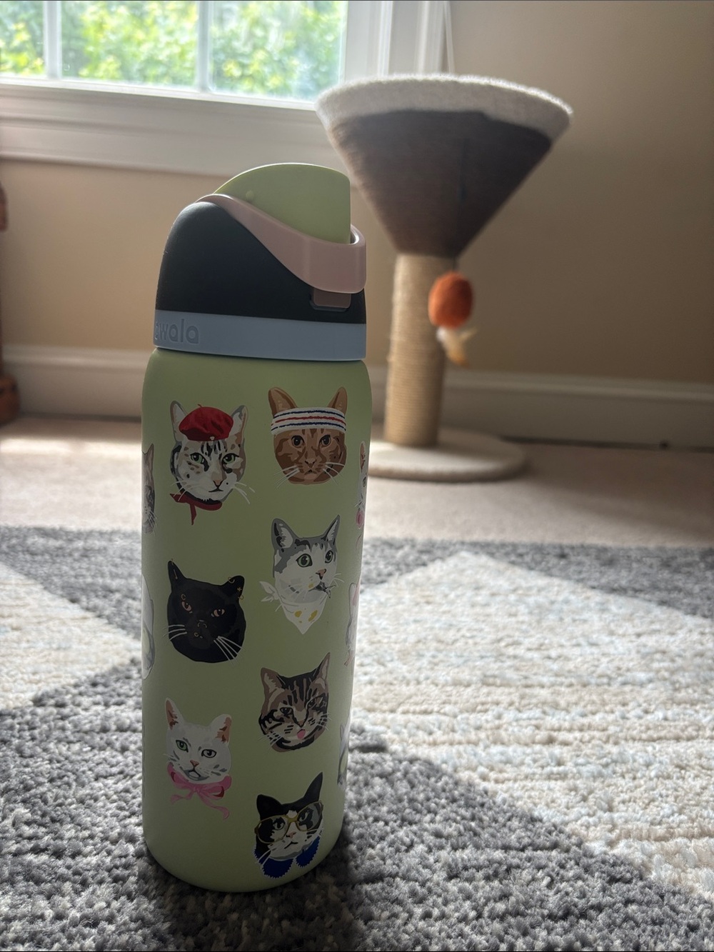 Owala Cat Print Stainless Water Bottle - Pastel Green - Picture 2 of 7